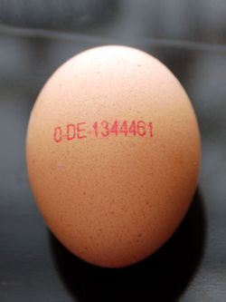 analisis de alimentos color huevo